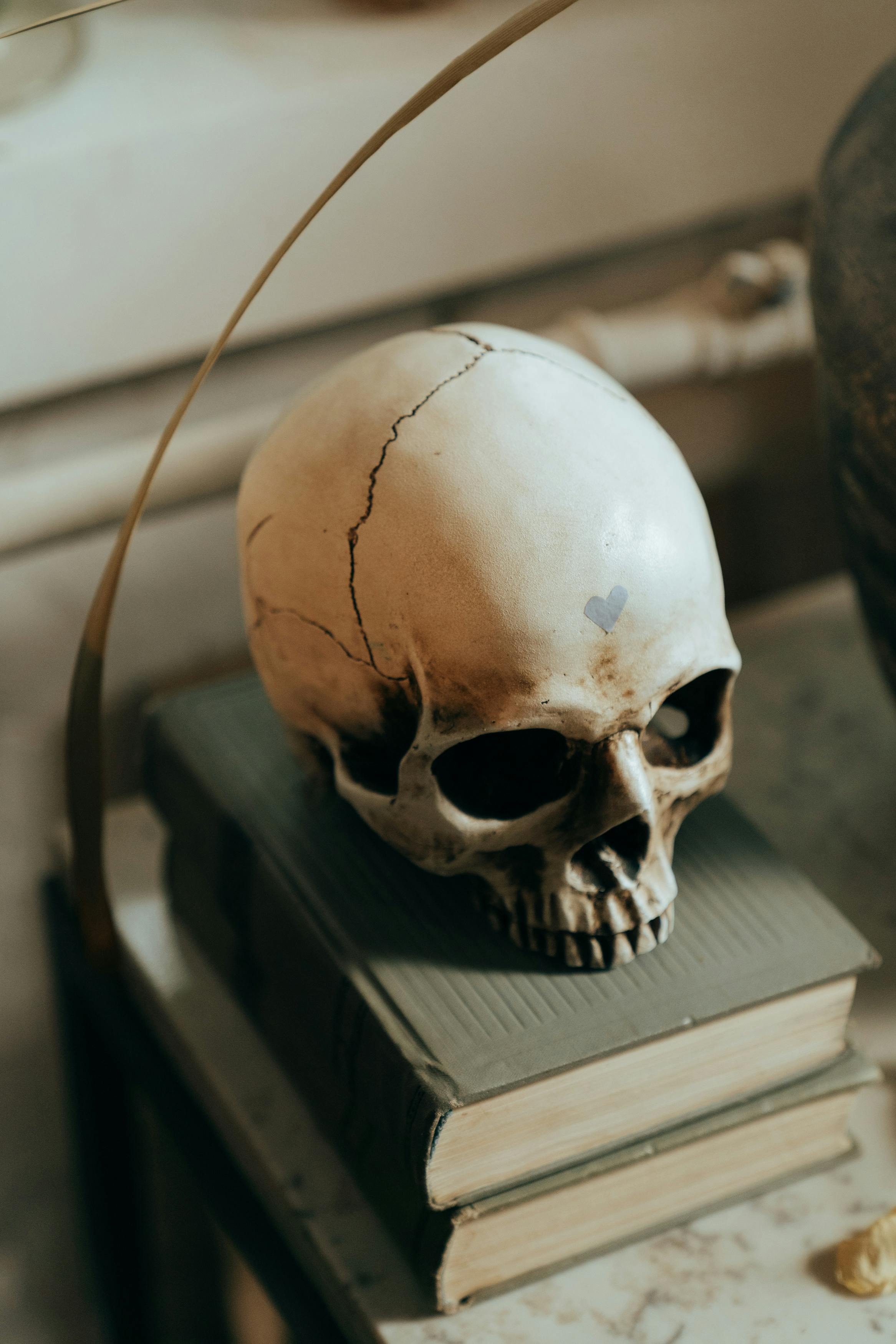 Effective Ways to Balance Carnivore Diet Macros for 2025