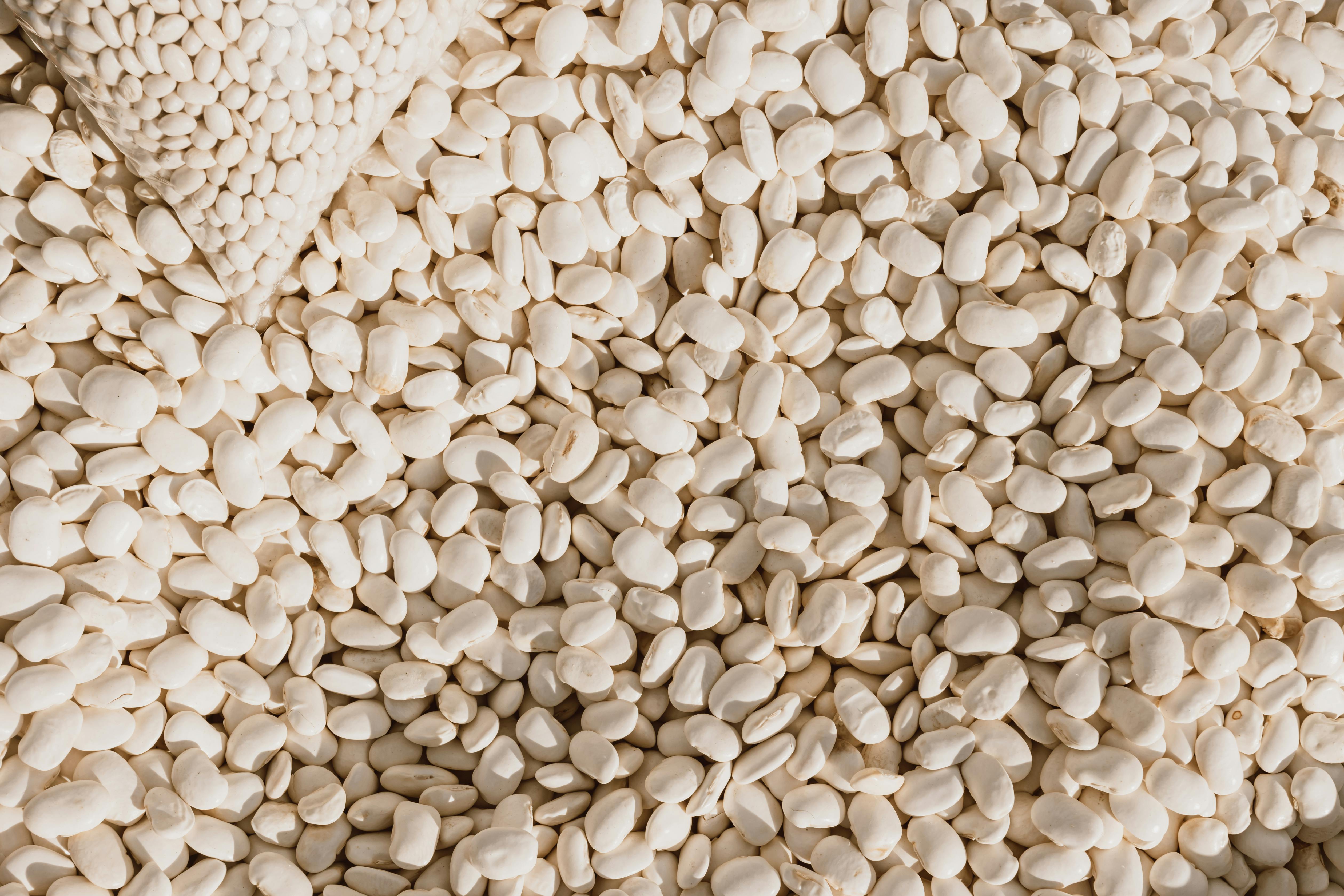 Top 5 Snacks for Carnivore Diet: Essential Choices for 2025