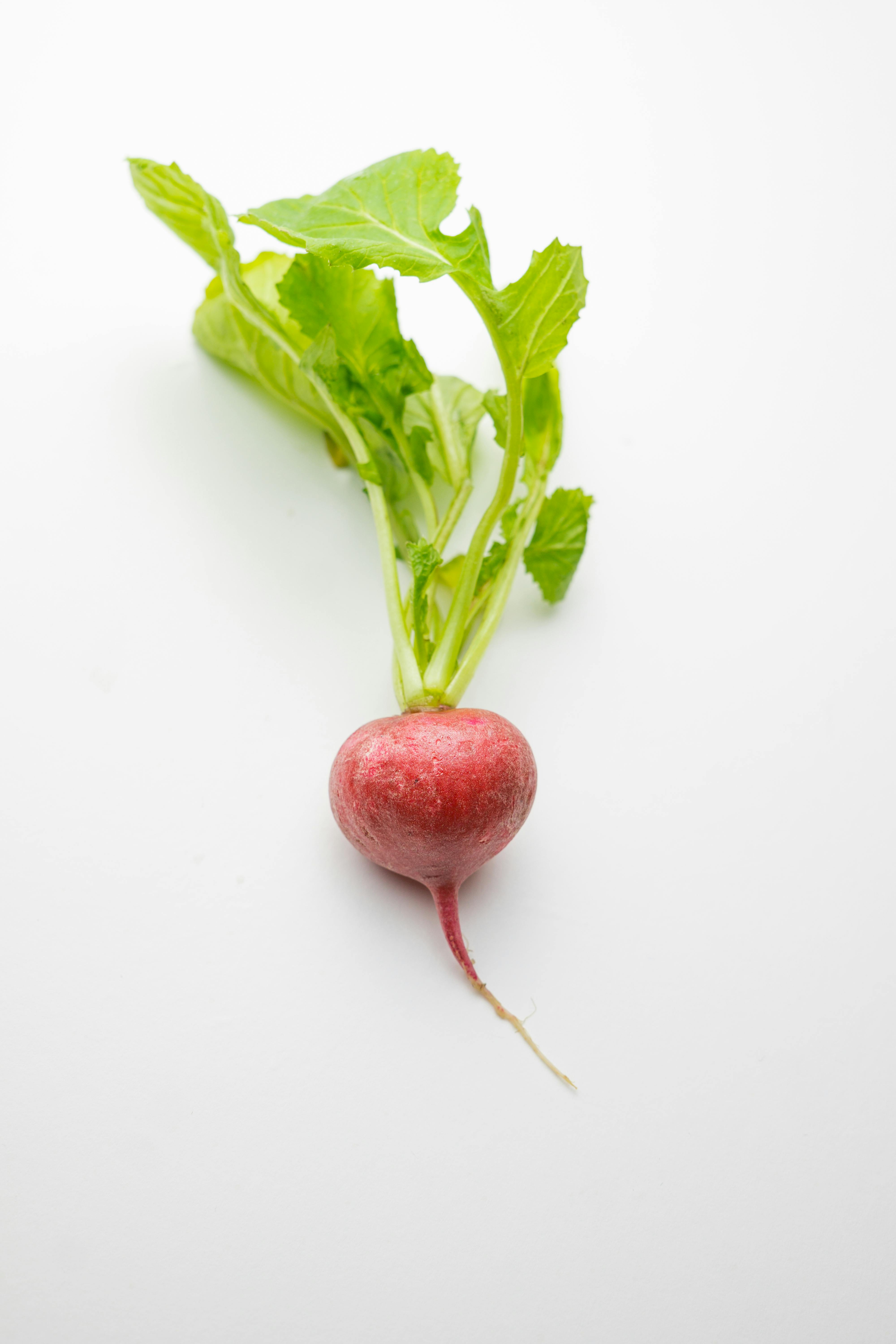 Effective AIP Diet Plan for 2025: Discover Simple Ways to Succeed