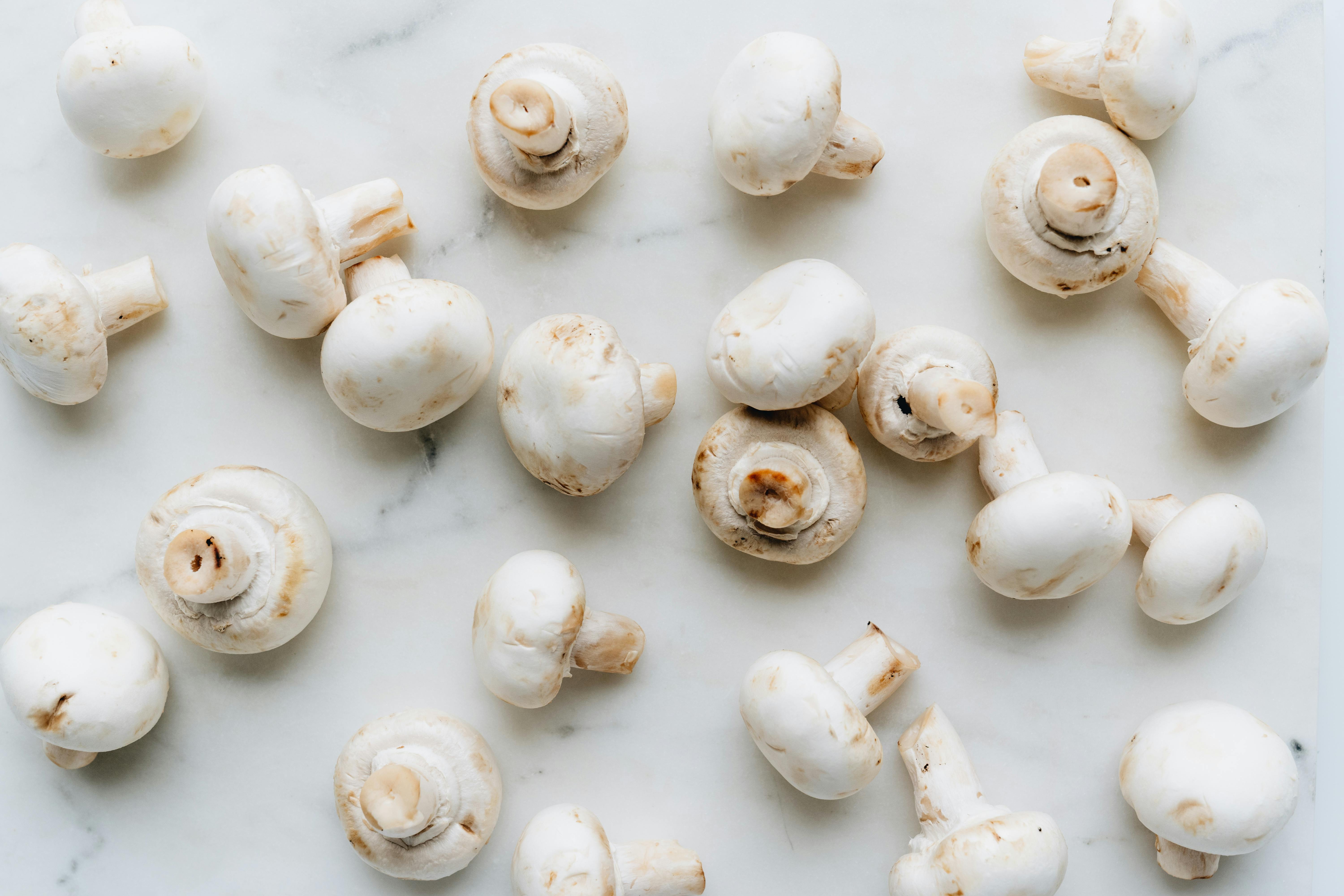 Practical Ways to Navigate the Elemental Diet in 2025: Enhance Digestion and Make Informed Choices