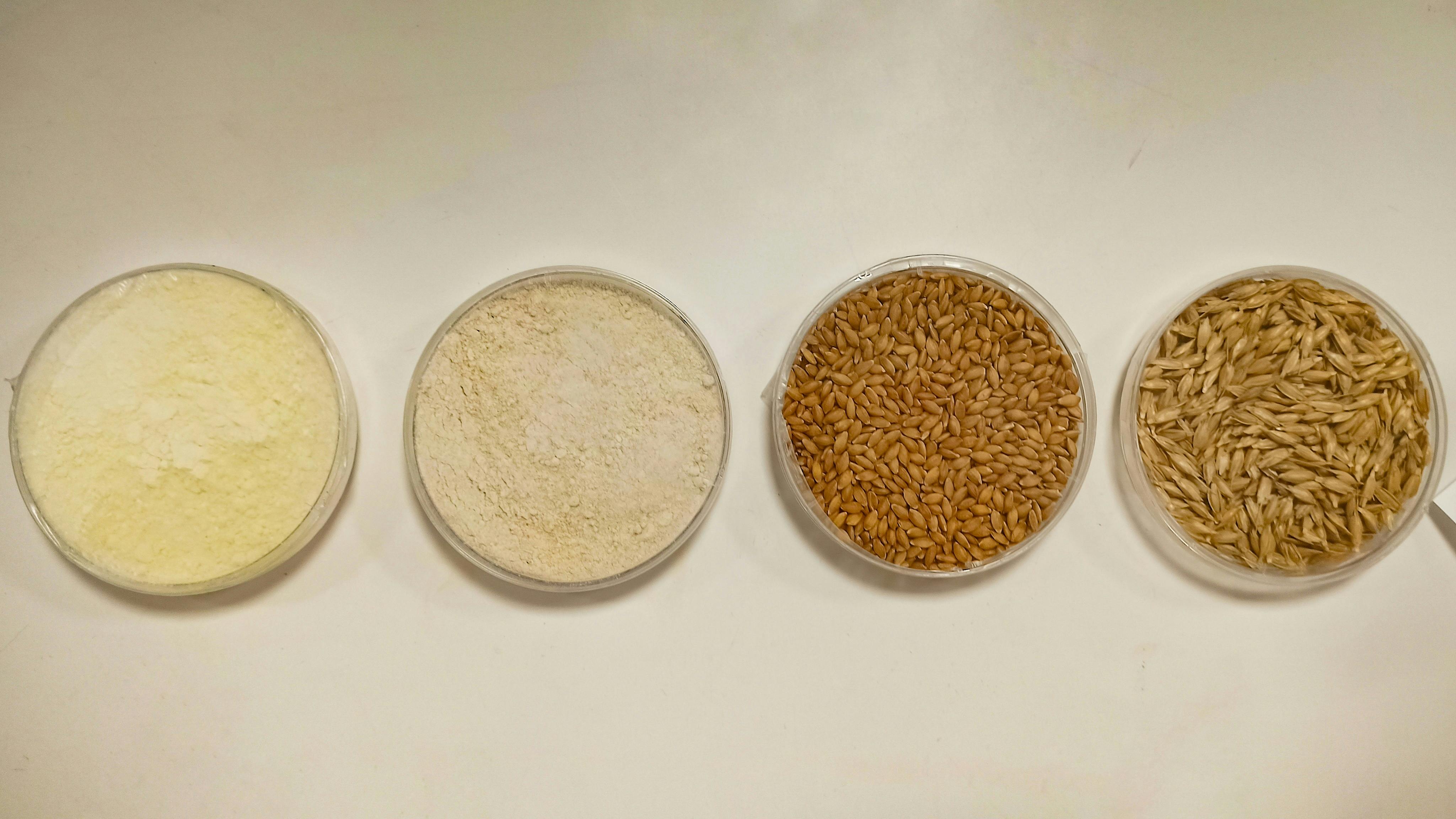 CICO Diet Meal Prep