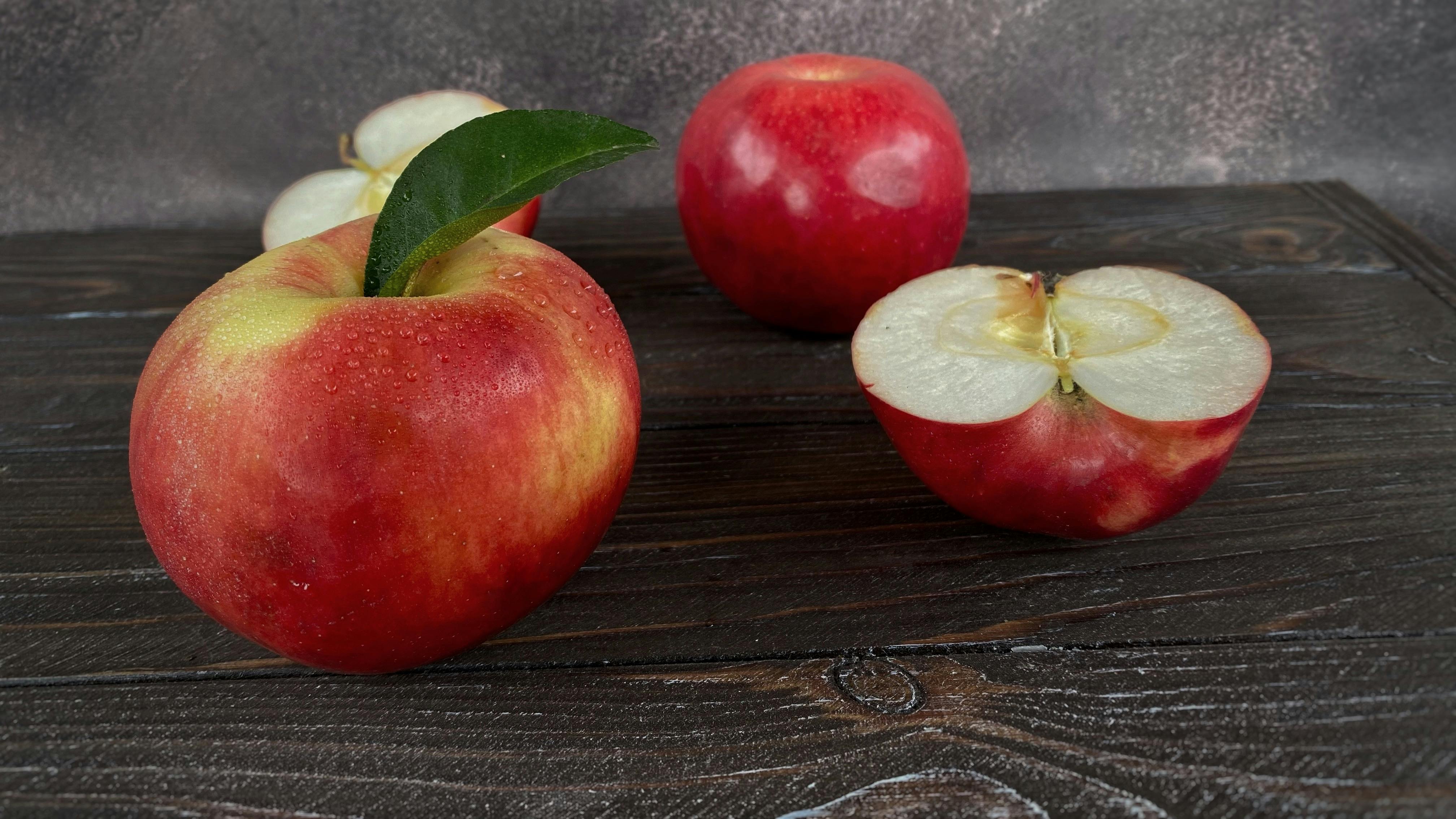 Effective Vertical Diet Meal Plan for Optimal Health in 2025