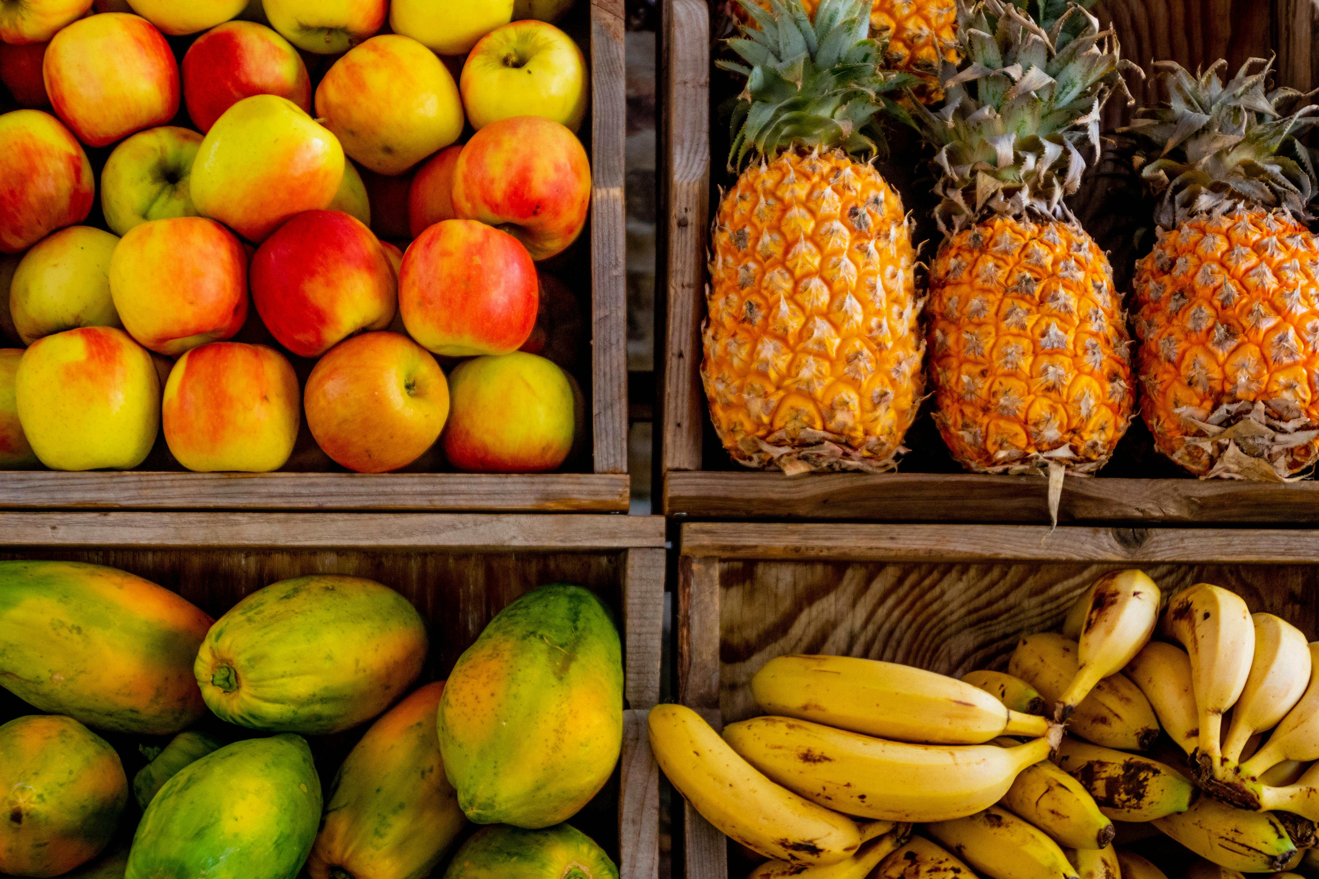 Essential Guide to Smart Food Options for O Positive Blood Type
