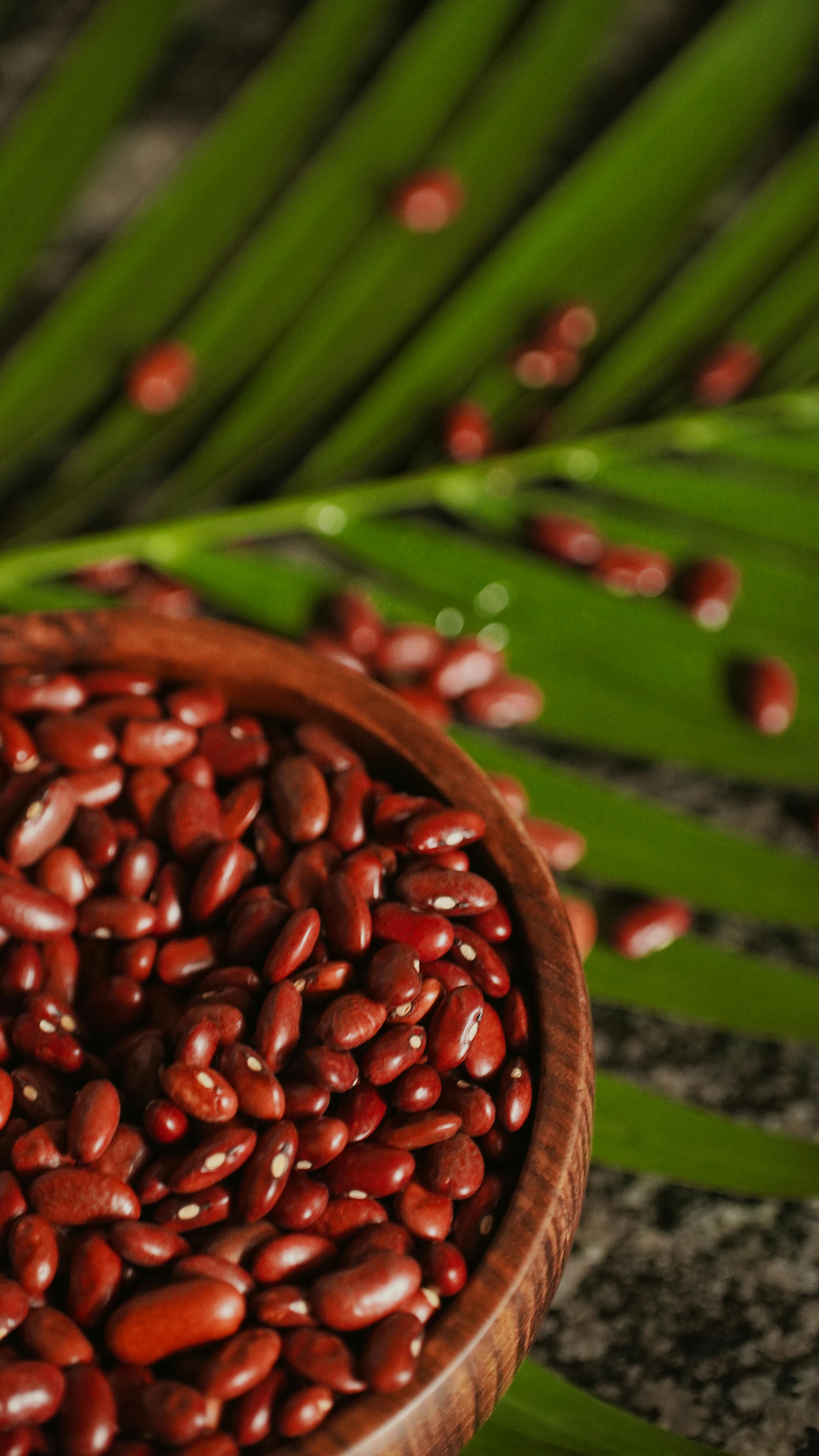 Simple Ways to Optimize Your Wahls Diet for 2025 Success